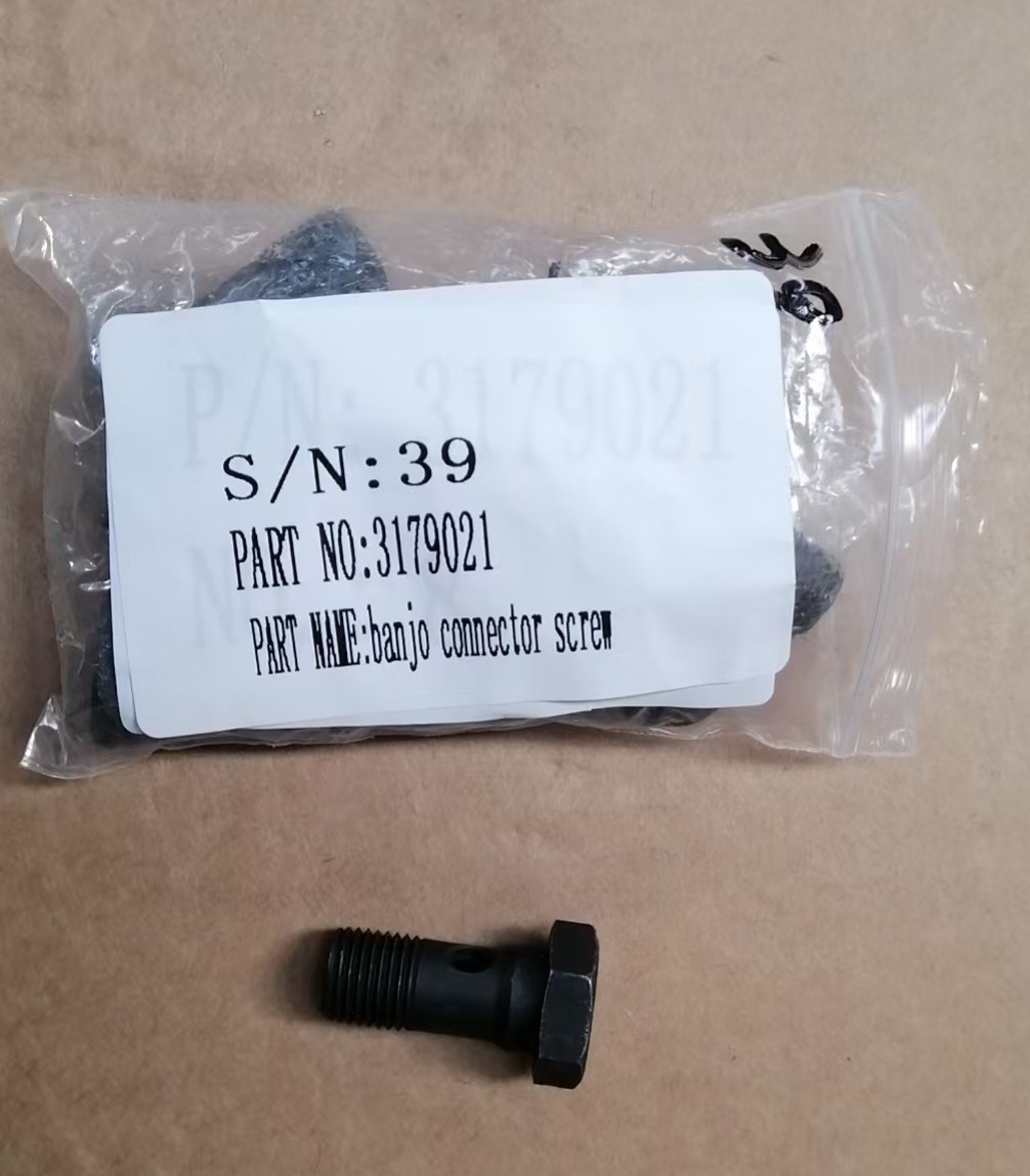 Cummins 3179021 болт банжо