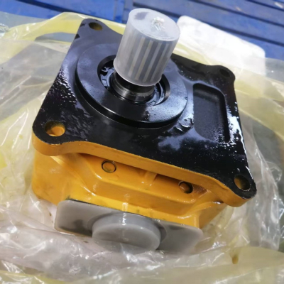 1010000698 zoomlion hydraulic pump
