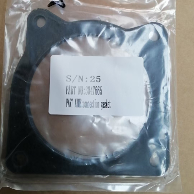Cummins 3047665 Coupling Gasket