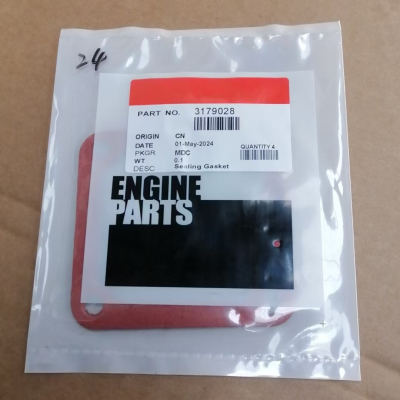 Cummins 3179028 Уплотнительная прокладка