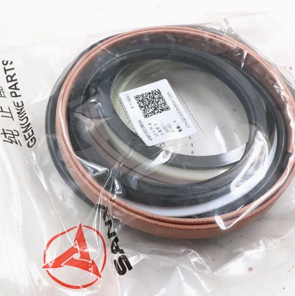 Spare parts for the Sany excavator, a set of the handle cylinder 60107383K, a kit for the repair of the bucket cylinder for SY195, SY205, SY215