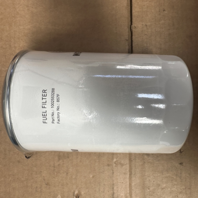 Weichai 1002553288 Filter element